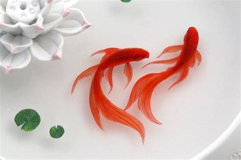 金魚 風水 色